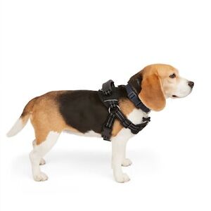 Embrace the Pace Black Dog Harness for Walks/Training